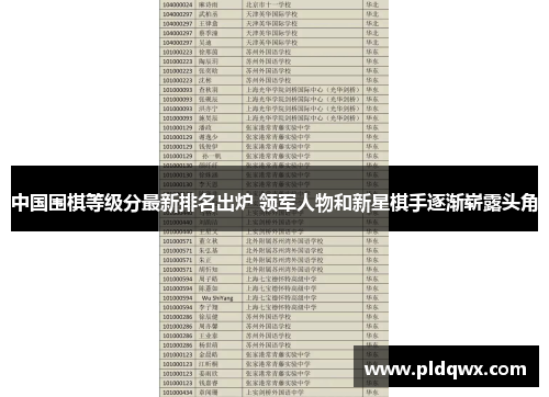 中国围棋等级分最新排名出炉 领军人物和新星棋手逐渐崭露头角 中国围棋等级分最新排名出炉 领军人物和新星棋手逐渐崭露头角