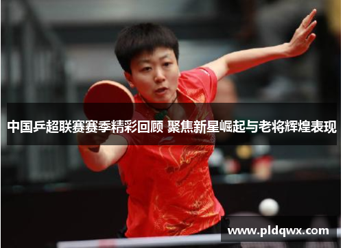 中国乒超联赛赛季精彩回顾 聚焦新星崛起与老将辉煌表现 中国乒超联赛赛季精彩回顾 聚焦新星崛起与老将辉煌表现
