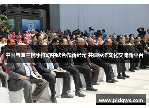 中国与波兰携手推动中欧合作新纪元 共建经济文化交流新平台 中国与波兰携手推动中欧合作新纪元 共建经济文化交流新平台