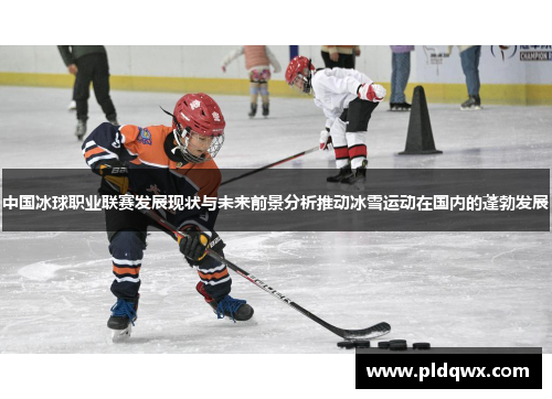 中国冰球职业联赛发展现状与未来前景分析推动冰雪运动在国内的蓬勃发展 中国冰球职业联赛发展现状与未来前景分析推动冰雪运动在国内的蓬勃发展
