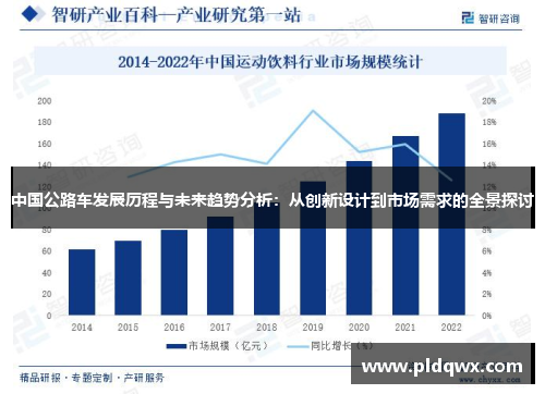 中国公路车发展历程与未来趋势分析：从创新设计到市场需求的全景探讨