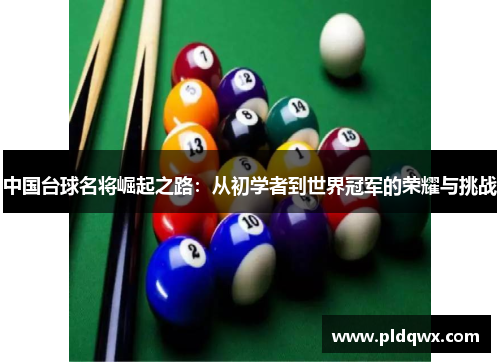 中国台球名将崛起之路:从初学者到世界冠军的荣耀与挑战 中国台球名将崛起之路:从初学者到世界冠军的荣耀与挑战