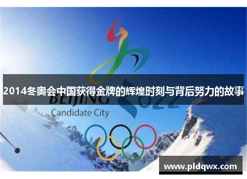 2014冬奥会中国获得金牌的辉煌时刻与背后努力的故事 2014冬奥会中国获得金牌的辉煌时刻与背后努力的故事