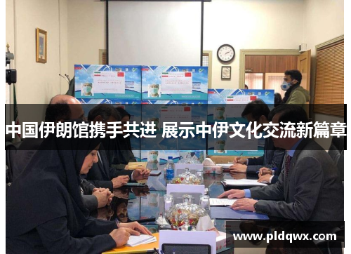 中国伊朗馆携手共进 展示中伊文化交流新篇章 中国伊朗馆携手共进 展示中伊文化交流新篇章