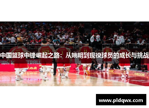 中国篮球中锋崛起之路:从姚明到现役球员的成长与挑战 中国篮球中锋崛起之路:从姚明到现役球员的成长与挑战