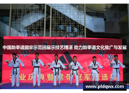 中国跆拳道国家示范团展示技艺精湛 助力跆拳道文化推广与发展 中国跆拳道国家示范团展示技艺精湛 助力跆拳道文化推广与发展