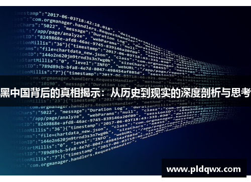 黑中国背后的真相揭示:从历史到现实的深度剖析与思考 黑中国背后的真相揭示:从历史到现实的深度剖析与思考