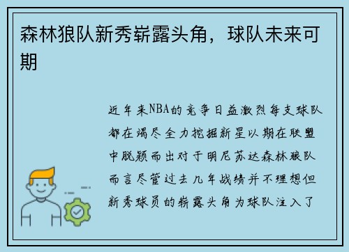 森林狼队新秀崭露头角，球队未来可期